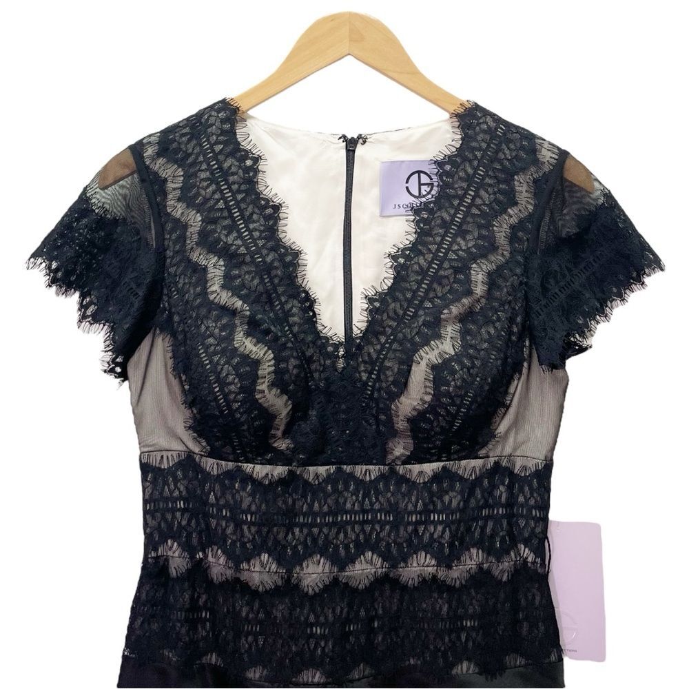 NWT JS Collections Black Nude Lace Illusion Midi Dress Sheer Stripe Size 6 NEW - Picture 6 of 13